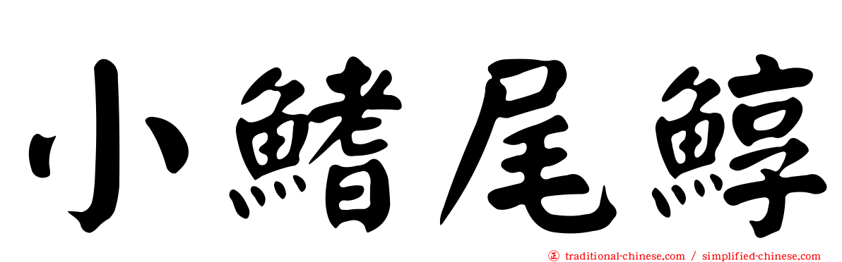小鰭尾鯙