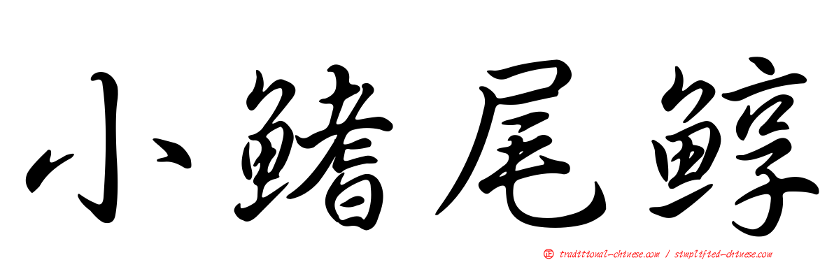 小鰭尾鯙