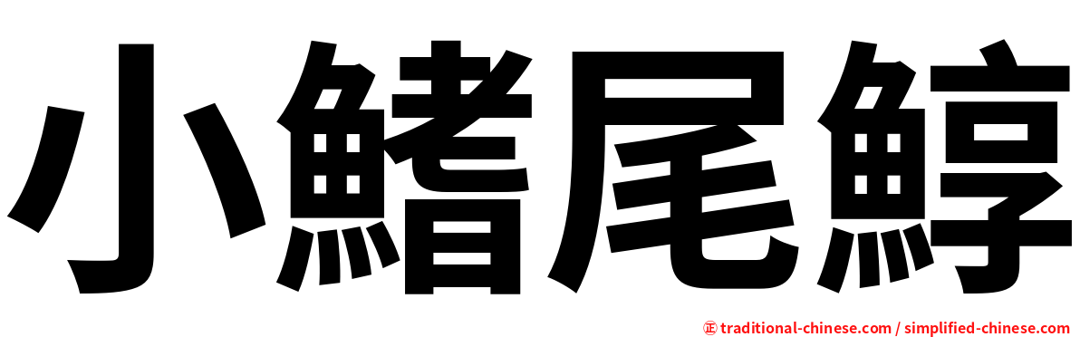 小鰭尾鯙
