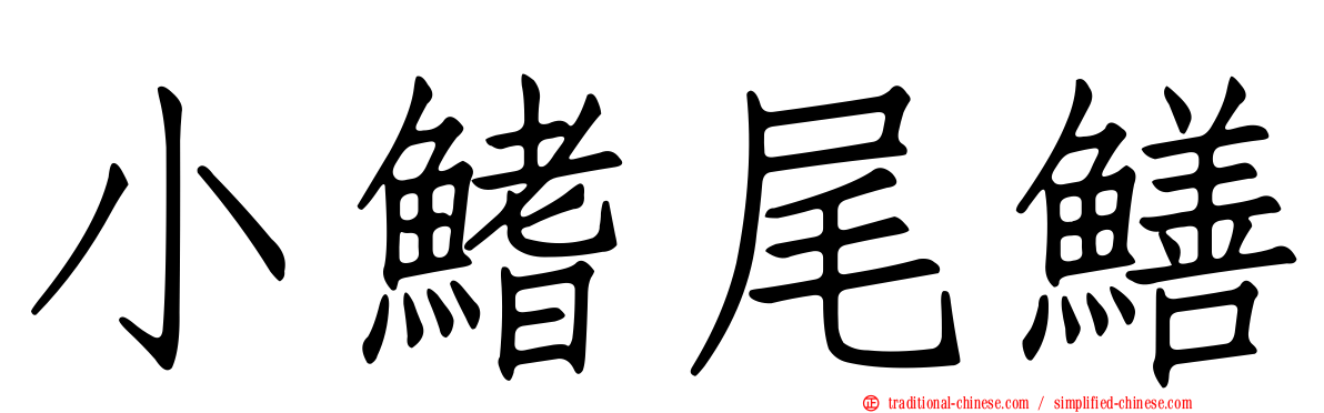 小鰭尾鱔