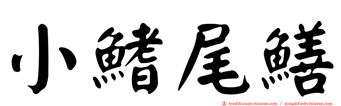 小鰭尾鱔