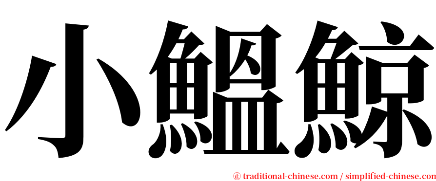 小鰮鯨 serif font