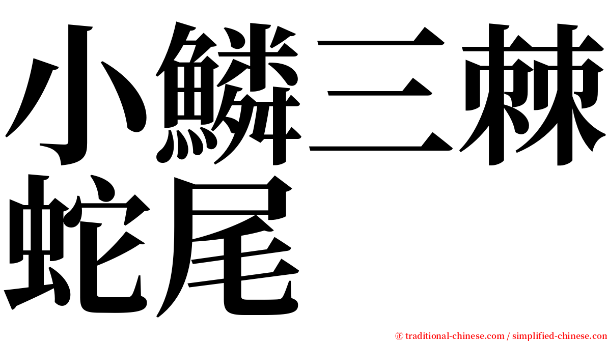 小鱗三棘蛇尾 serif font