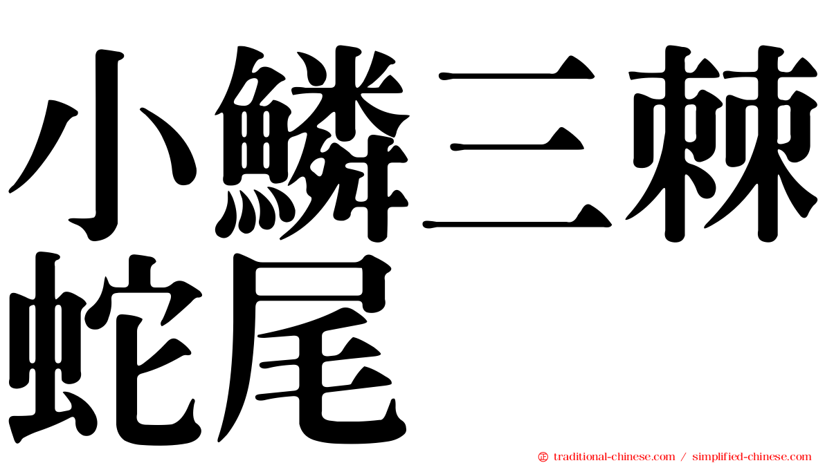 小鱗三棘蛇尾