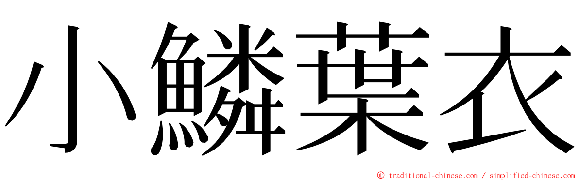 小鱗葉衣 ming font
