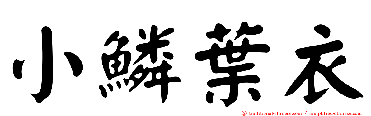 小鱗葉衣