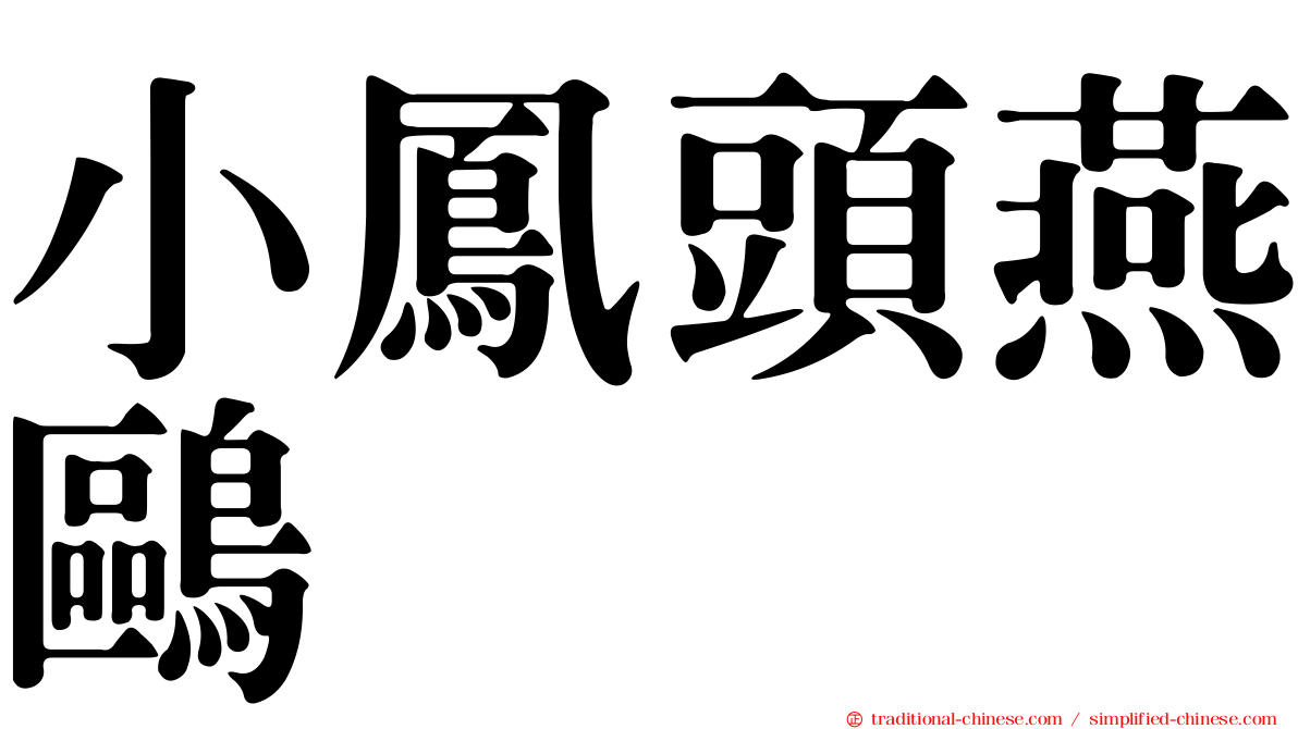 小鳳頭燕鷗
