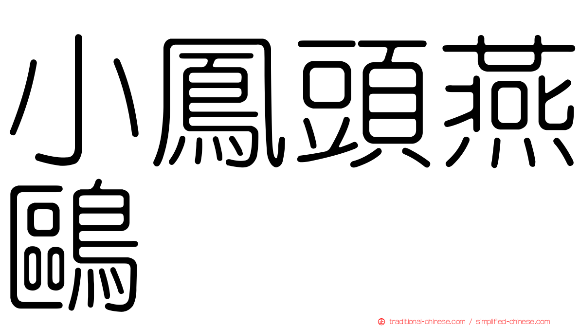 小鳳頭燕鷗