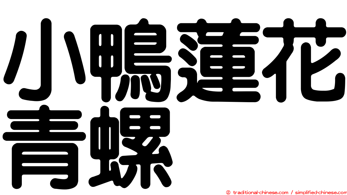 小鴨蓮花青螺