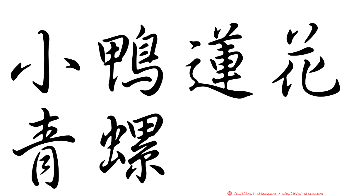小鴨蓮花青螺