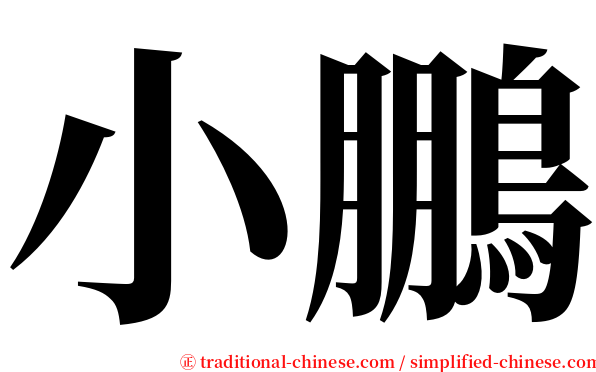 小鵬 serif font