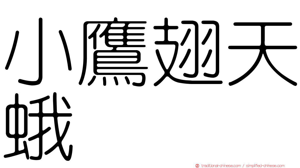 小鷹翅天蛾