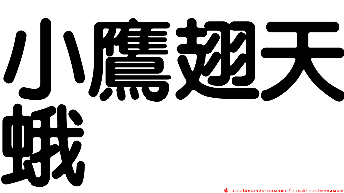小鷹翅天蛾