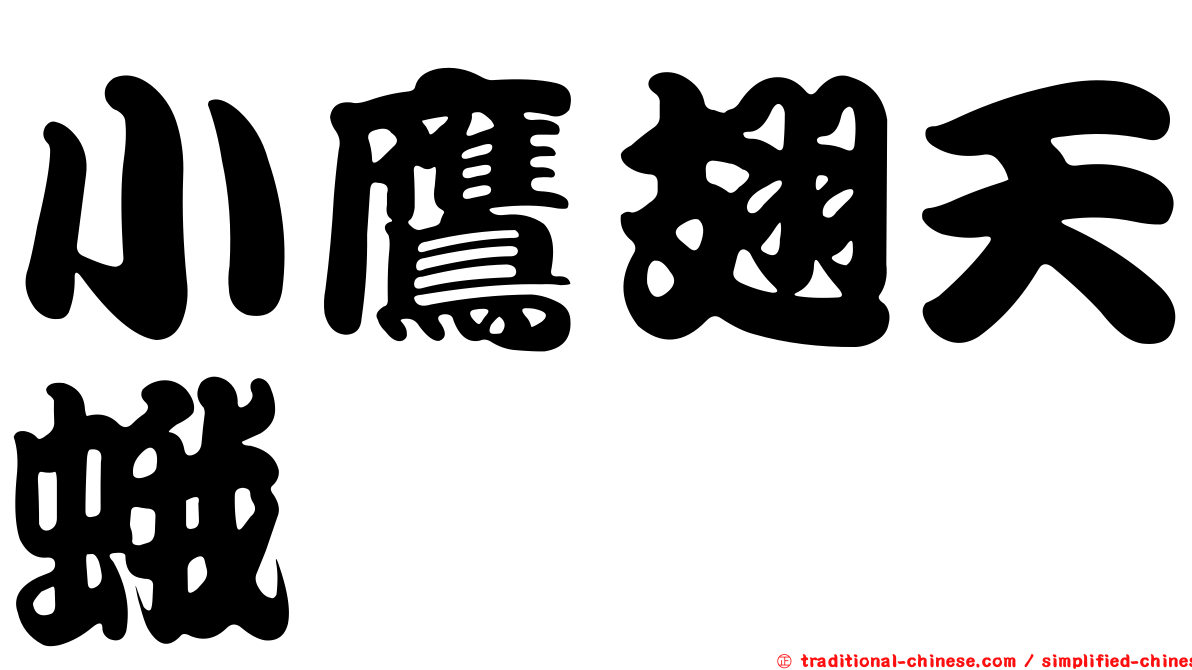 小鷹翅天蛾