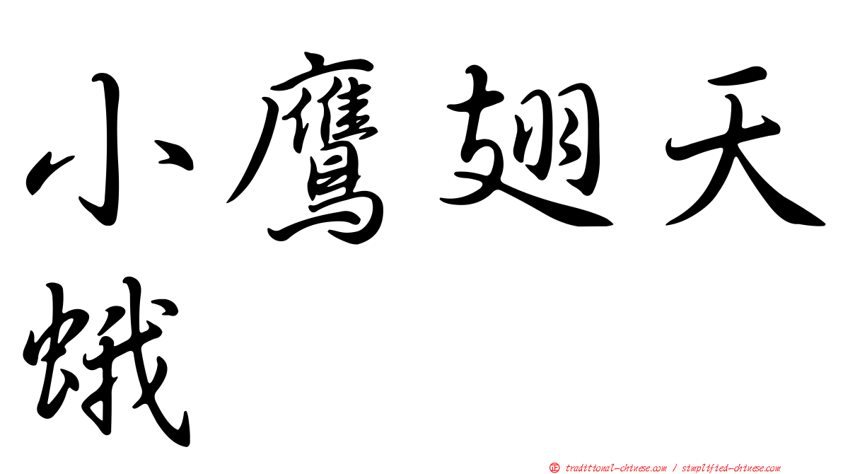 小鷹翅天蛾