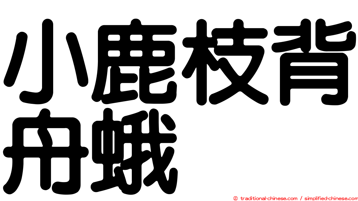 小鹿枝背舟蛾