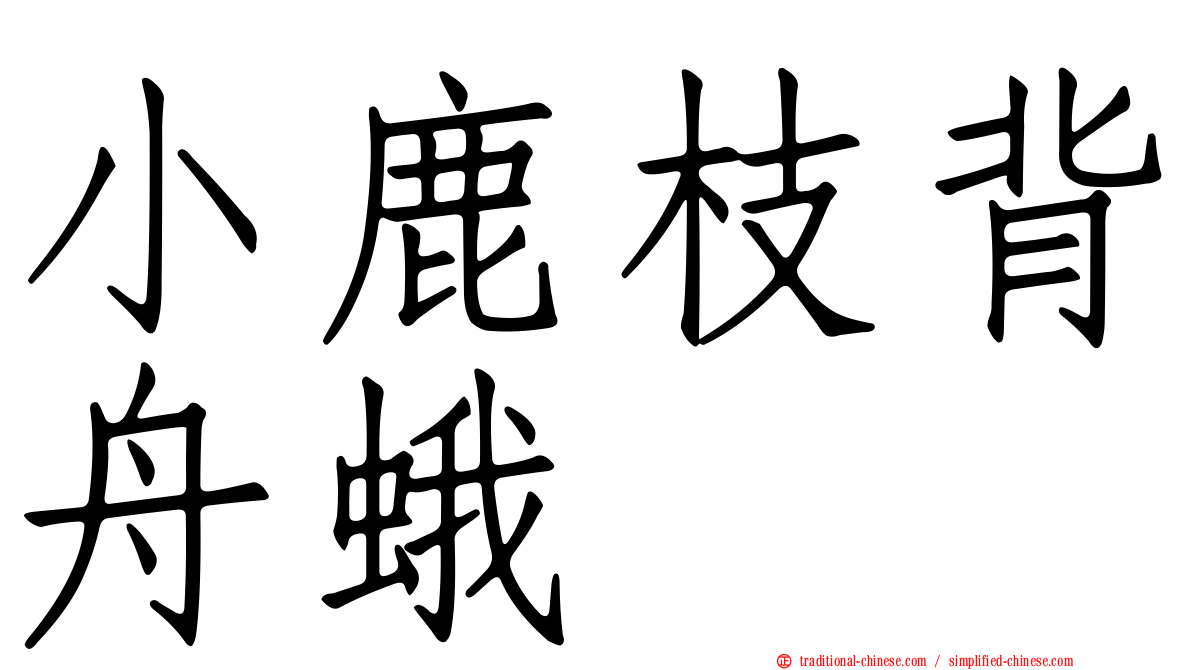 小鹿枝背舟蛾