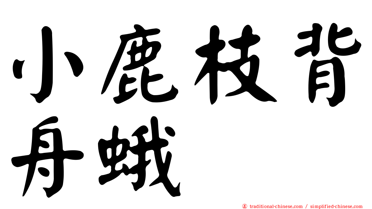 小鹿枝背舟蛾