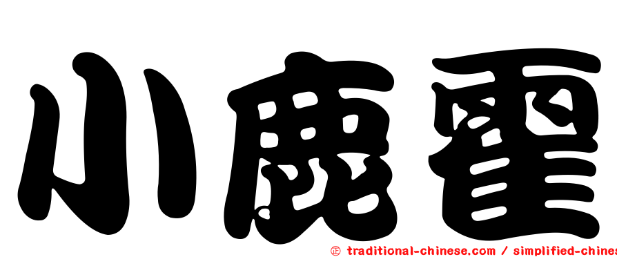 小鹿霍