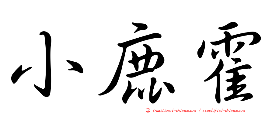 小鹿霍