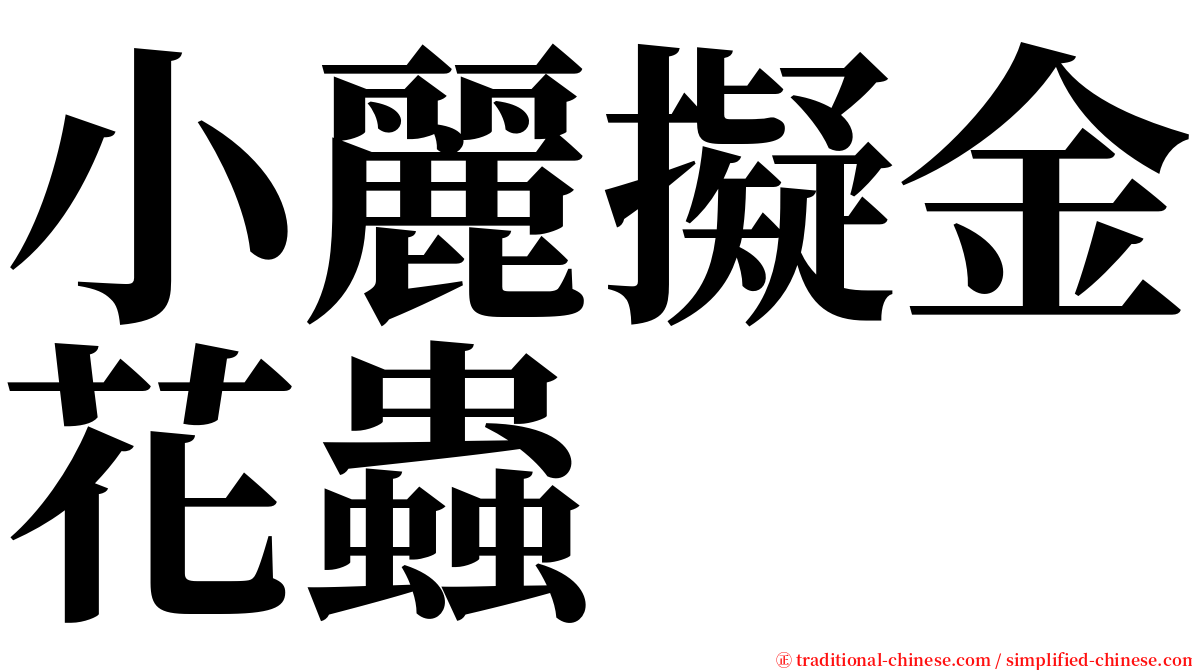 小麗擬金花蟲 serif font