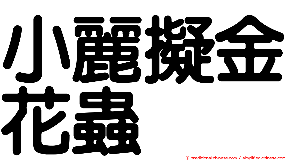 小麗擬金花蟲
