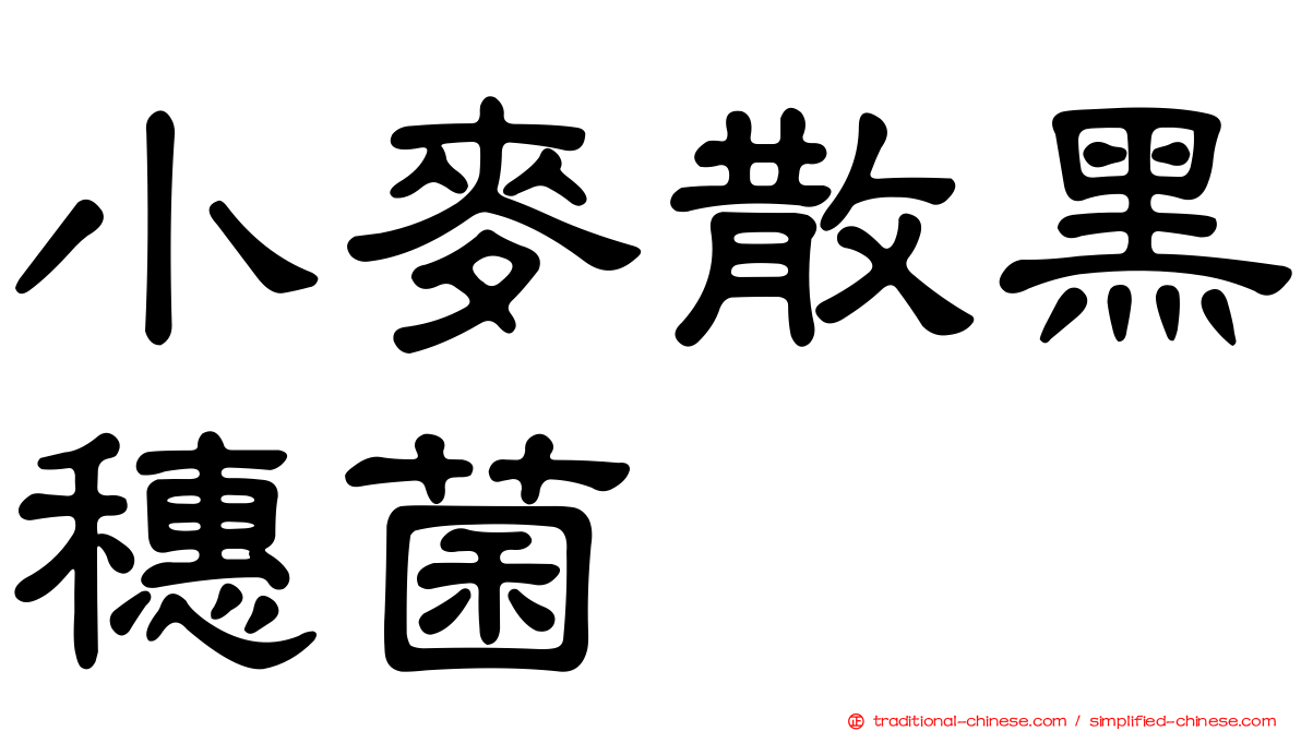小麥散黑穗菌