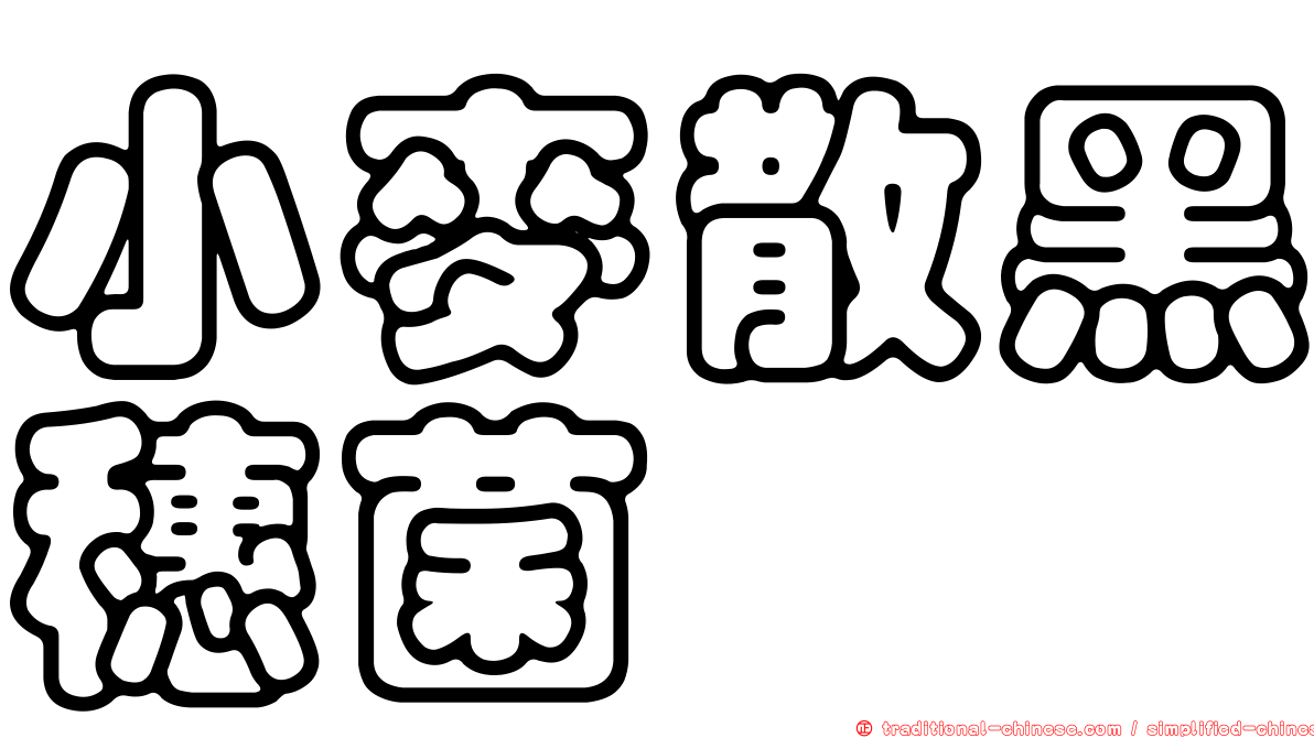 小麥散黑穗菌
