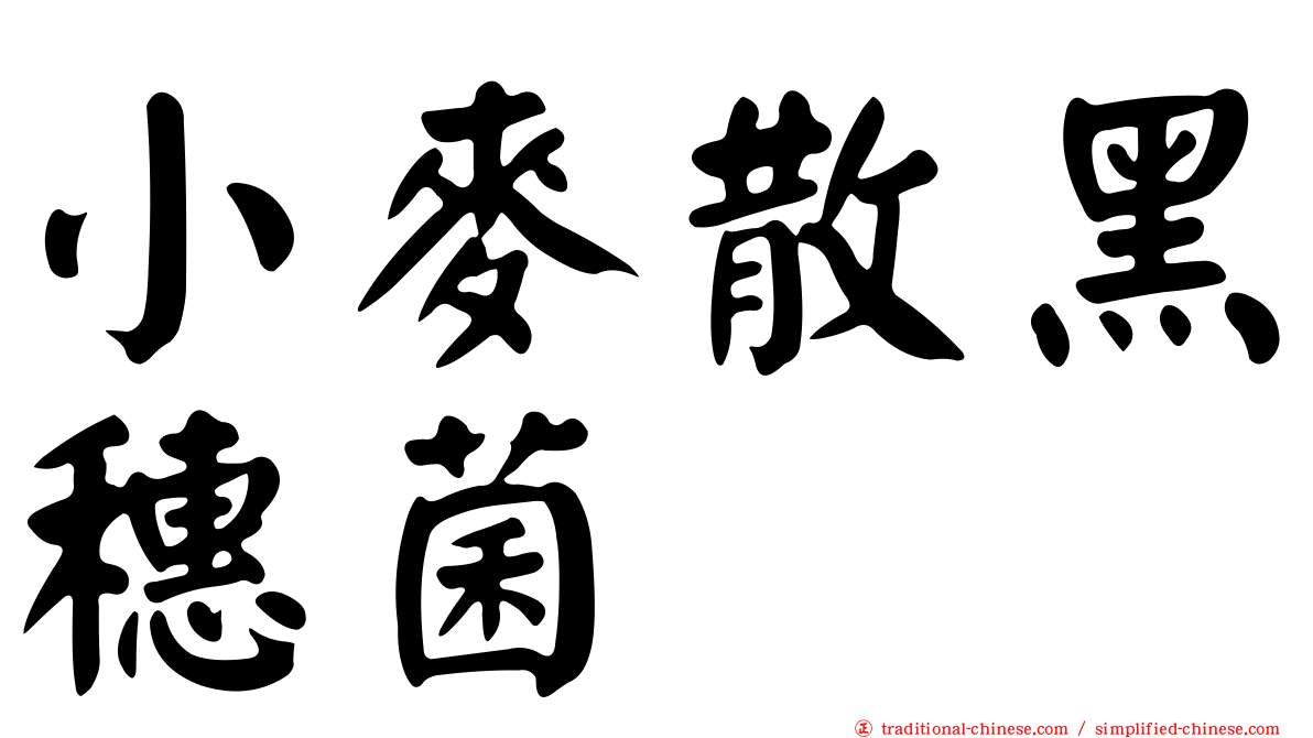 小麥散黑穗菌