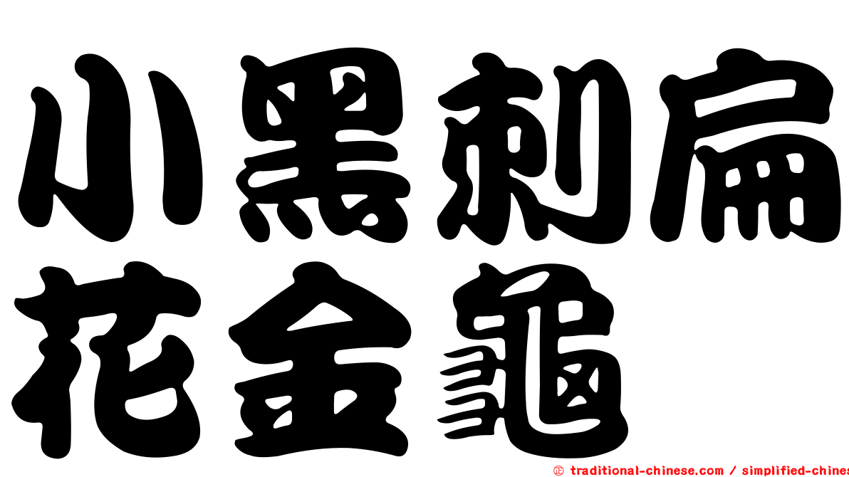 小黑刺扁花金龜