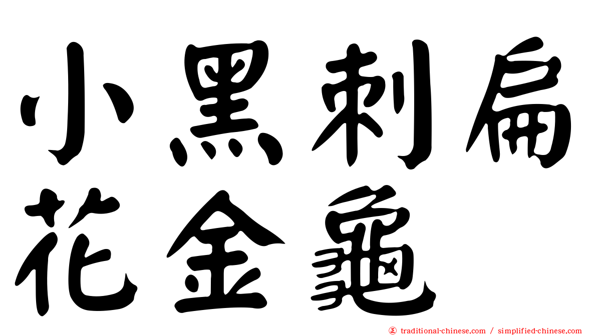 小黑刺扁花金龜