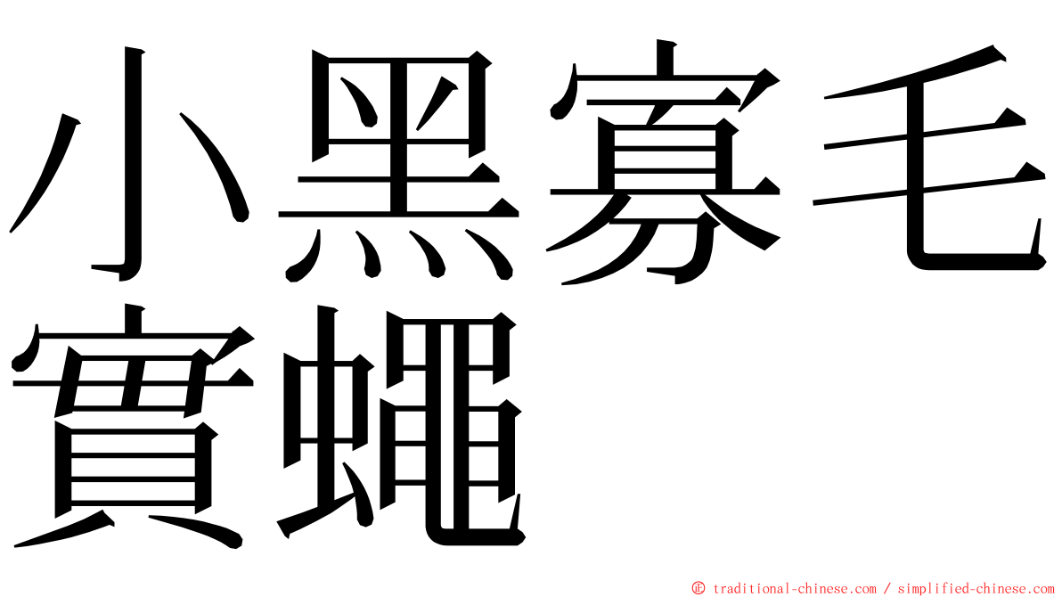 小黑寡毛實蠅 ming font