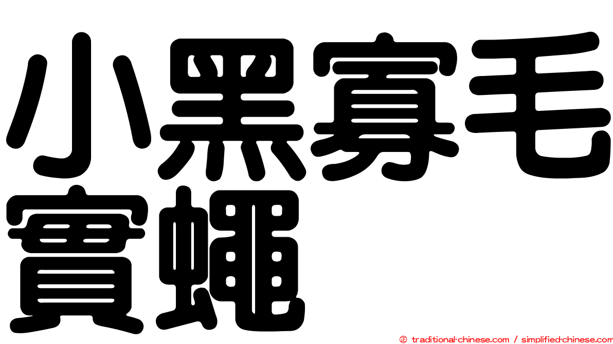 小黑寡毛實蠅
