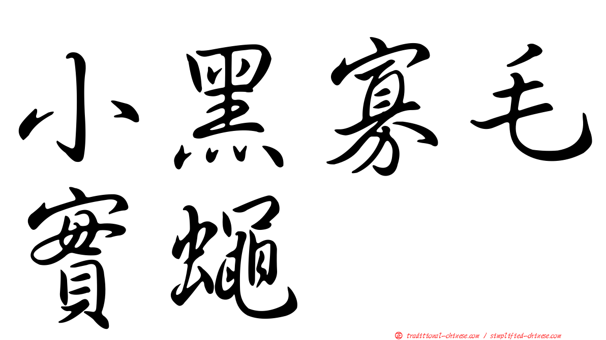 小黑寡毛實蠅