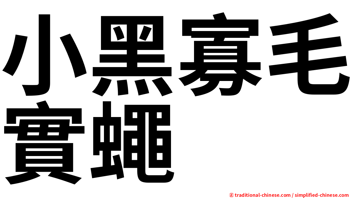 小黑寡毛實蠅