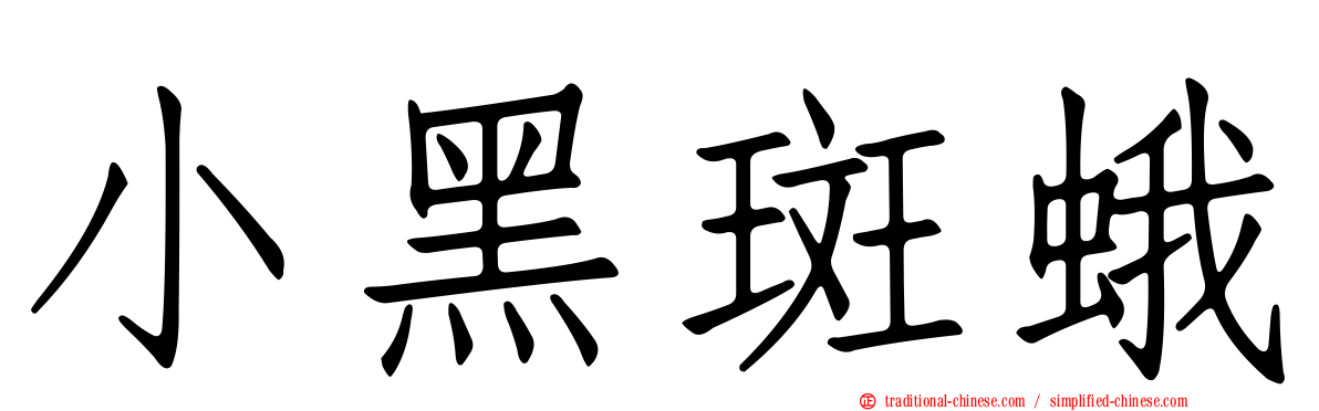 小黑斑蛾