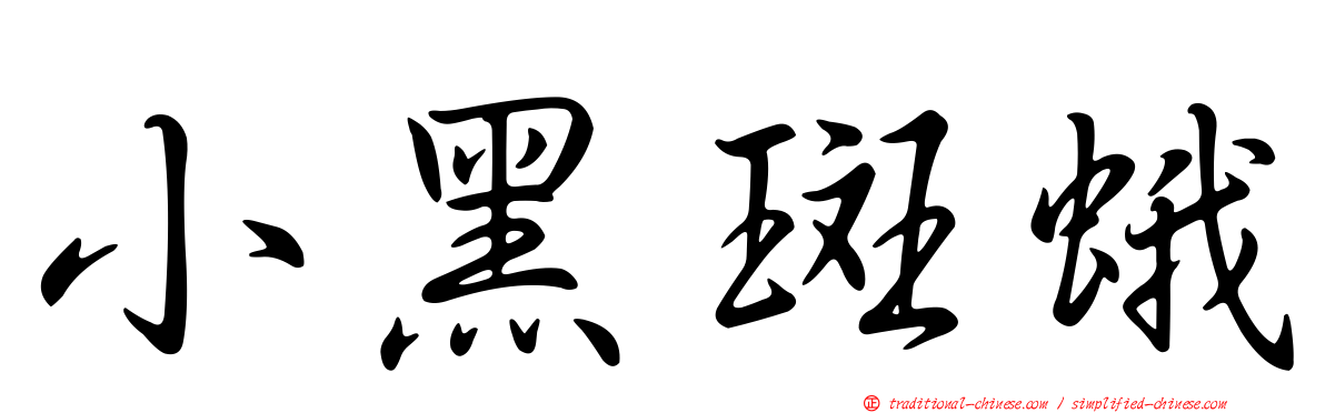 小黑斑蛾