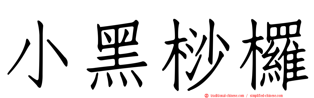 小黑桫欏