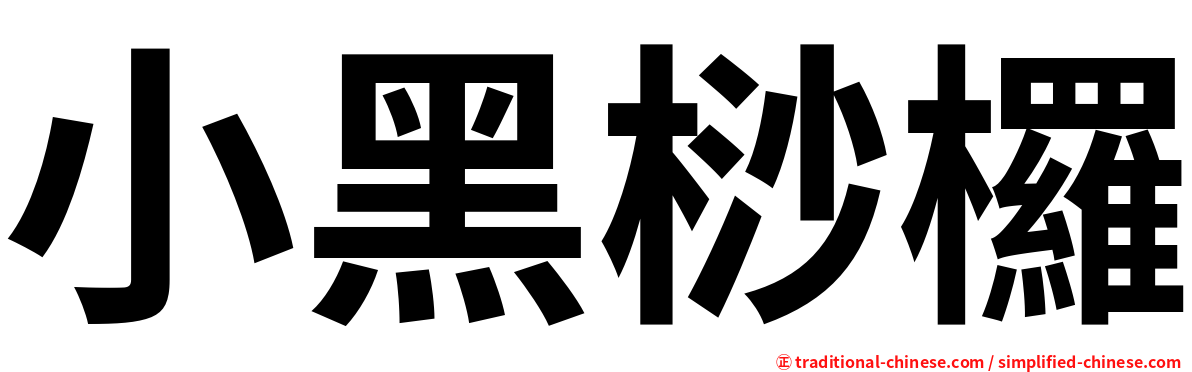 小黑桫欏