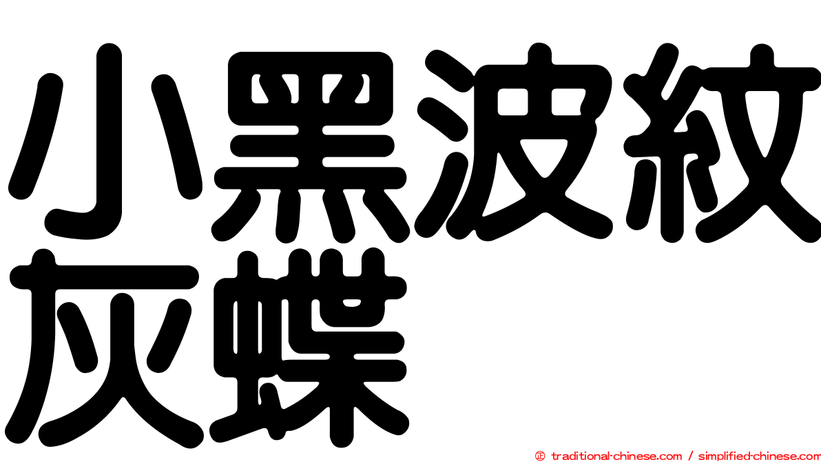 小黑波紋灰蝶
