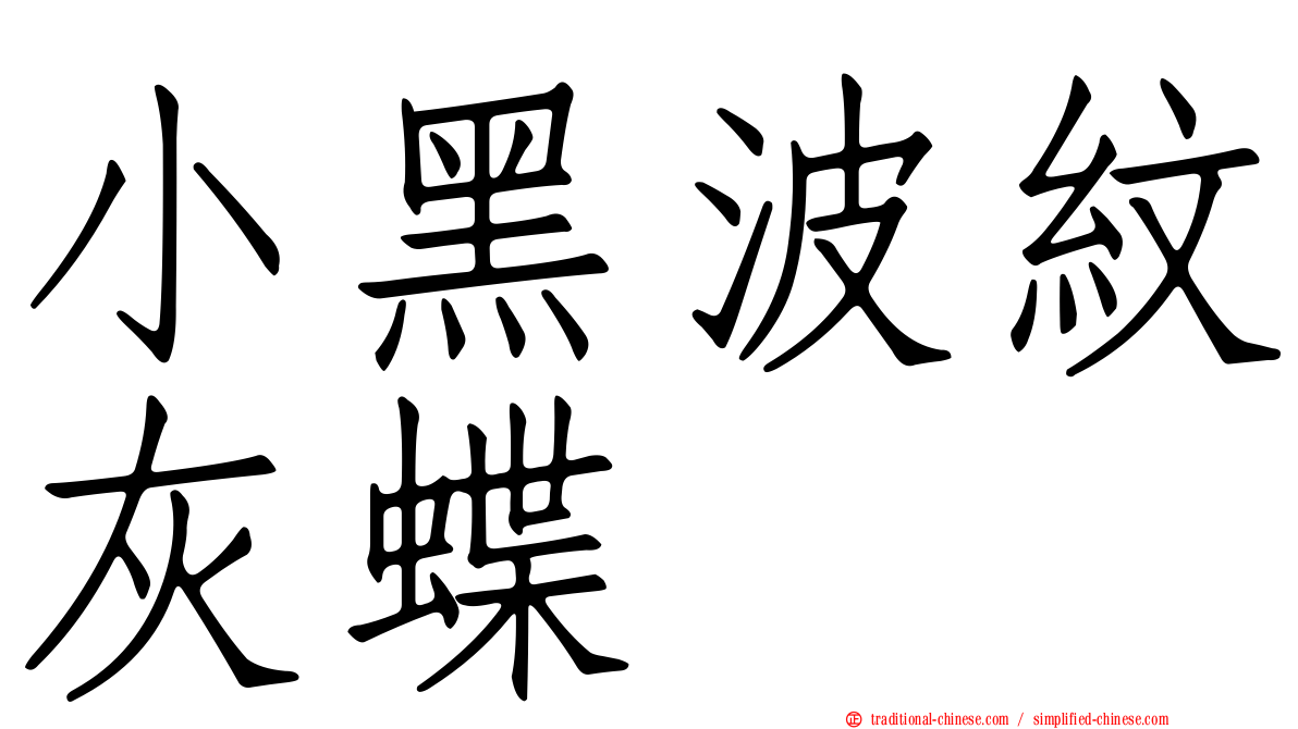 小黑波紋灰蝶