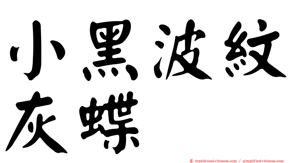 小黑波紋灰蝶