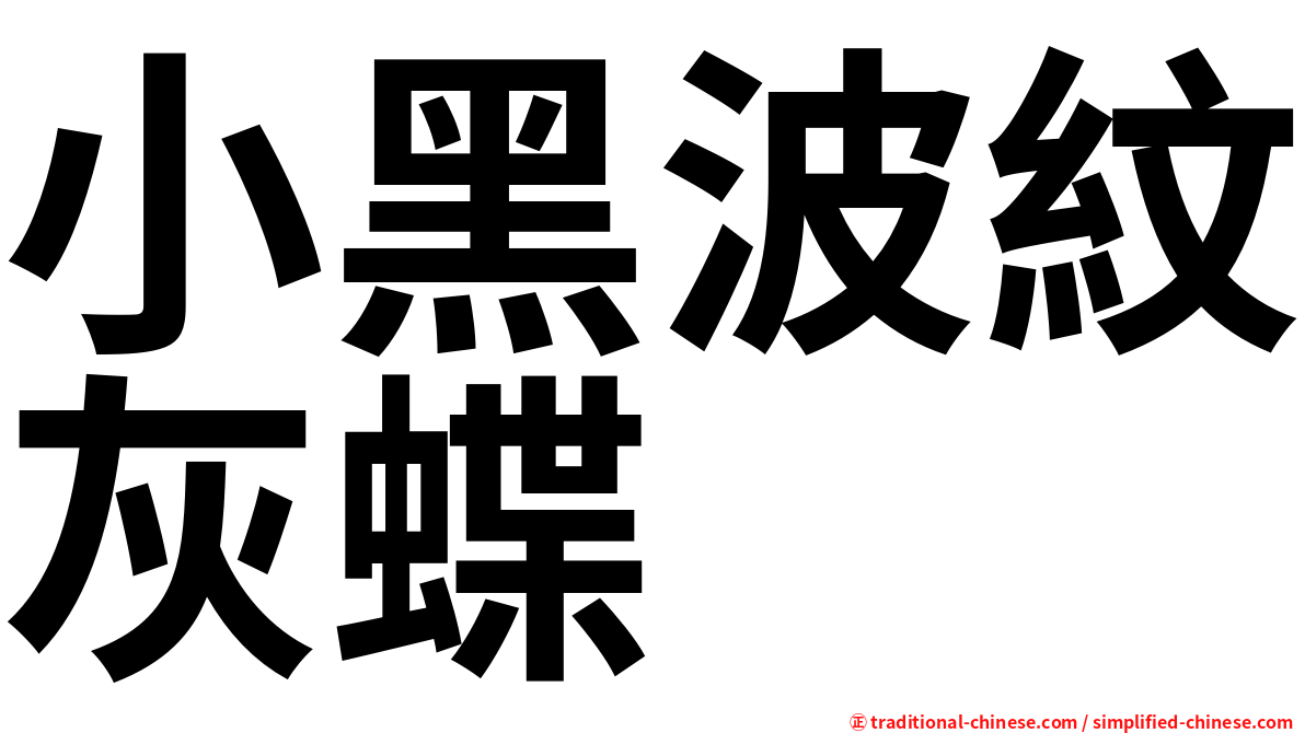 小黑波紋灰蝶