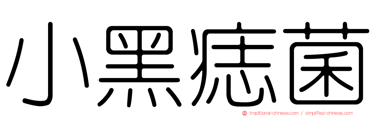 小黑痣菌