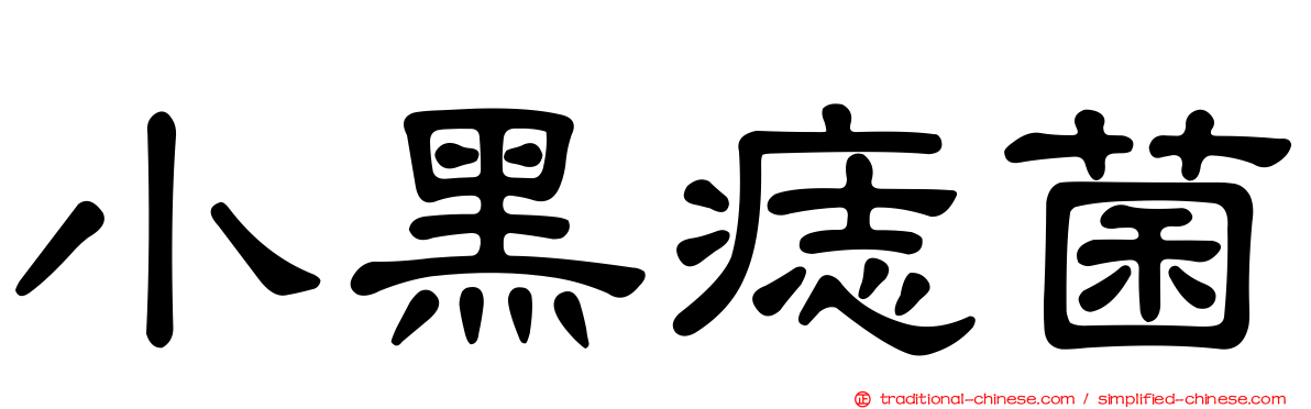 小黑痣菌