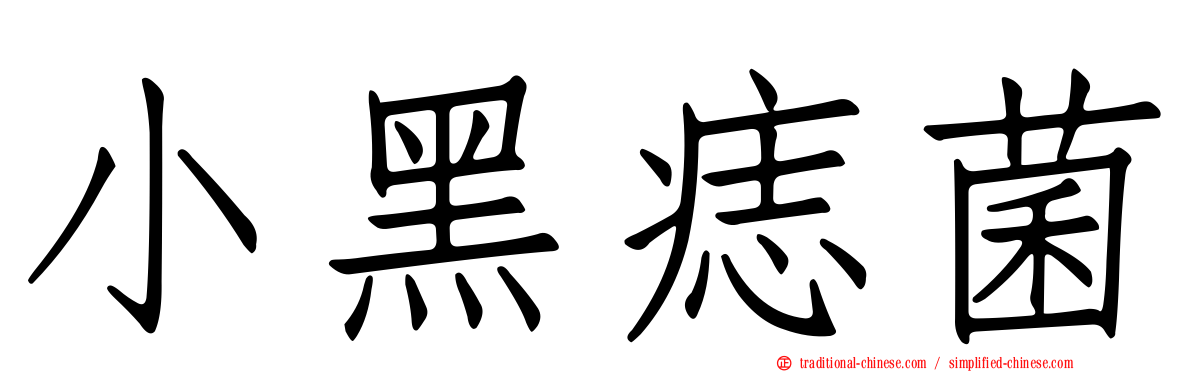 小黑痣菌