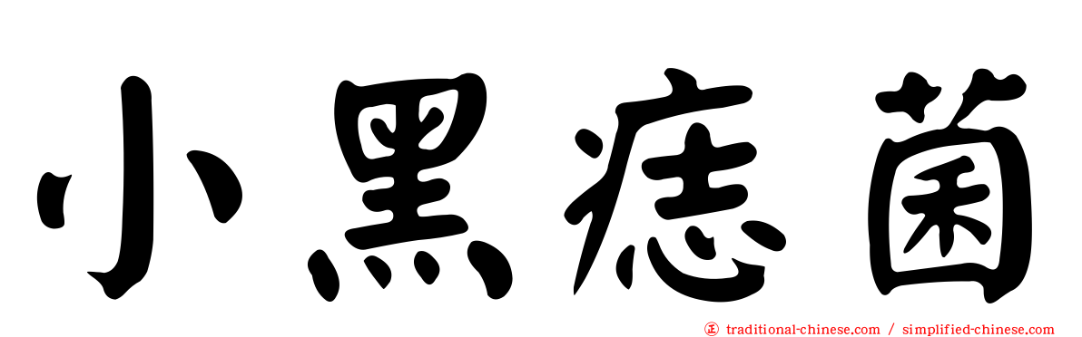 小黑痣菌