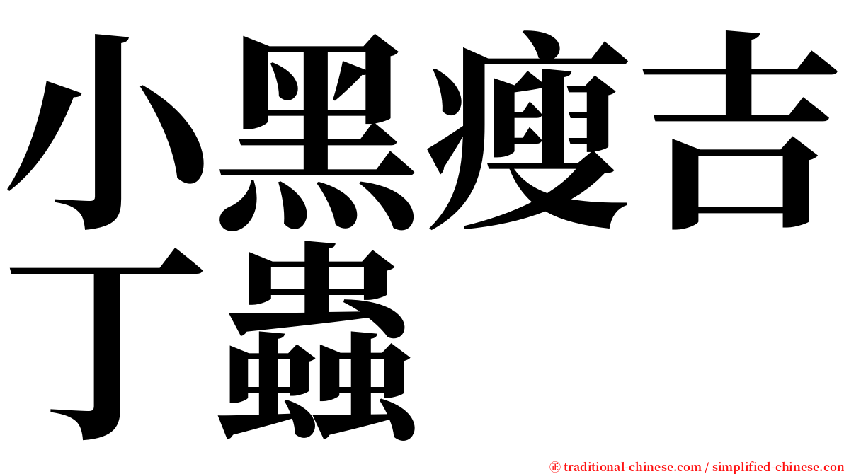 小黑瘦吉丁蟲 serif font