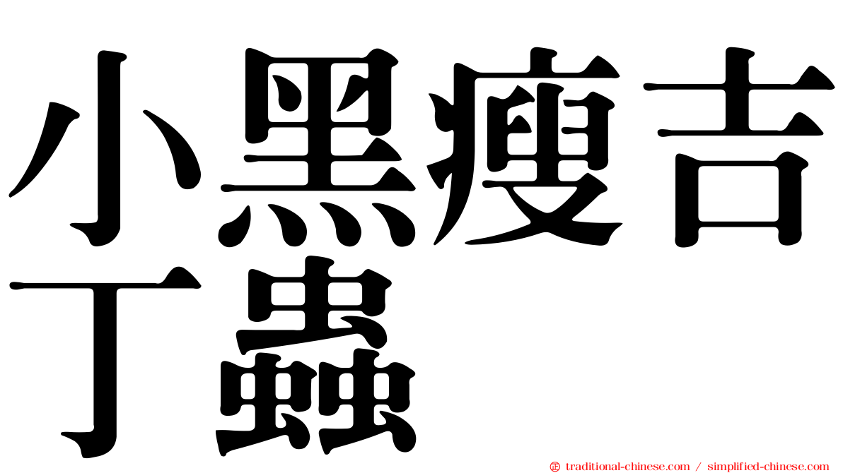 小黑瘦吉丁蟲