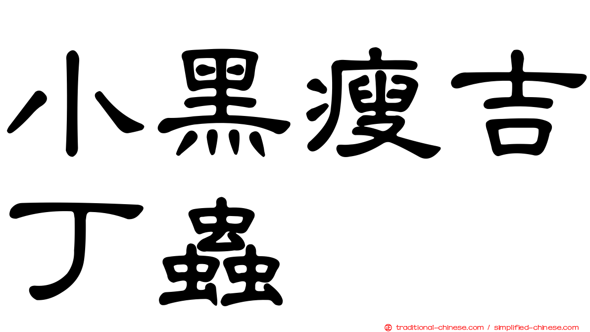 小黑瘦吉丁蟲